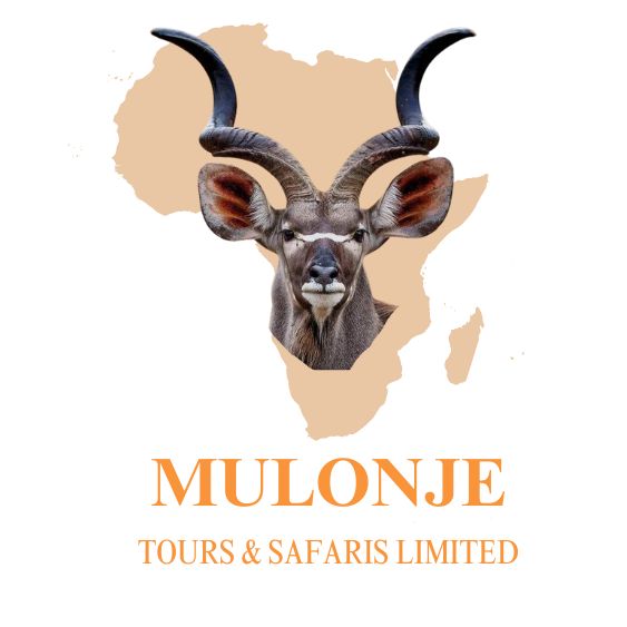 MULONJE TOURS AND SAFARIS LIMITED